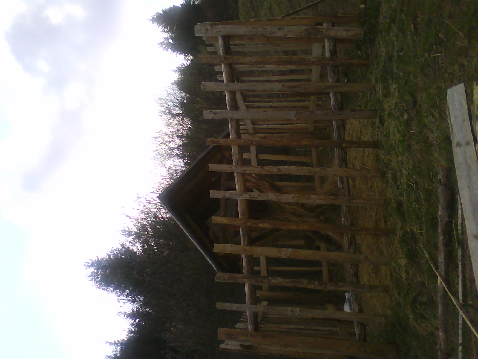 DSC00098.JPG